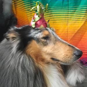 Meet your Posher, Bev